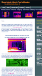 Mobile Screenshot of massinfrared.com